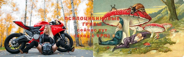 твердый Абаза