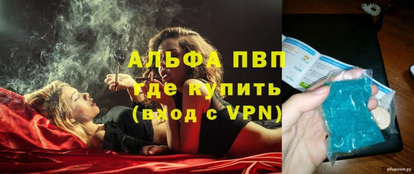 твердый Абаза