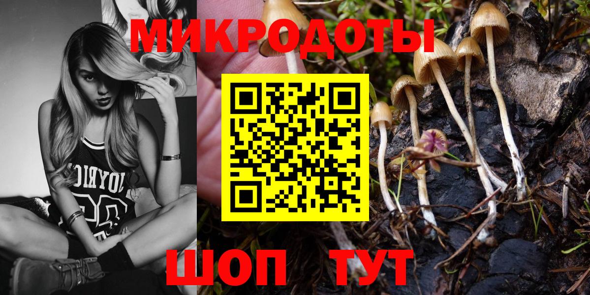 Галлюциногенные грибы Psilocybe Иваново